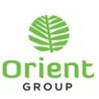 Orient Group Egypt